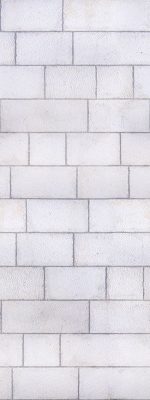 380-dalmatian-white-wall_opt_opt